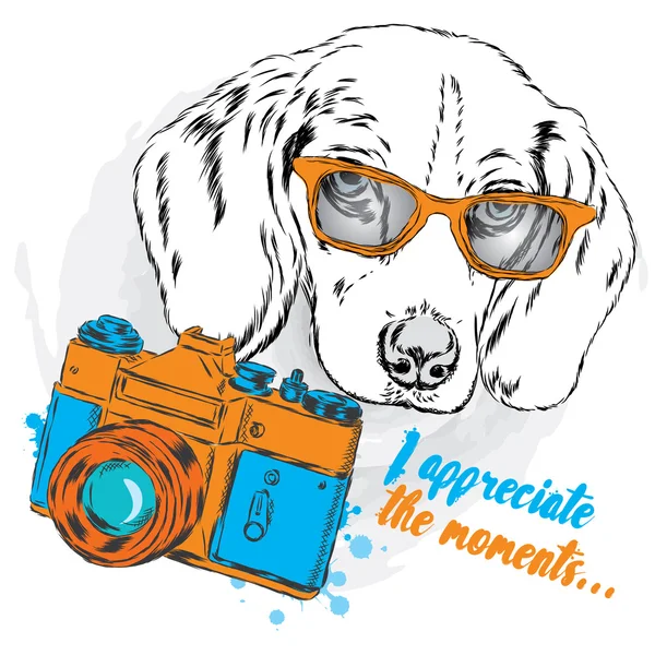 Perro fresco con gafas y una cámara. Lindo cachorro . — Archivo Imágenes Vectoriales