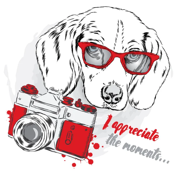 Perro fresco con gafas y una cámara. Lindo cachorro . — Vector de stock