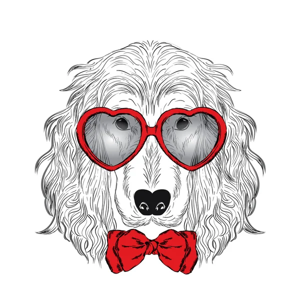 一只狗戴着一条领带和眼镜。情人节那天。卡猎犬. — 图库矢量图片
