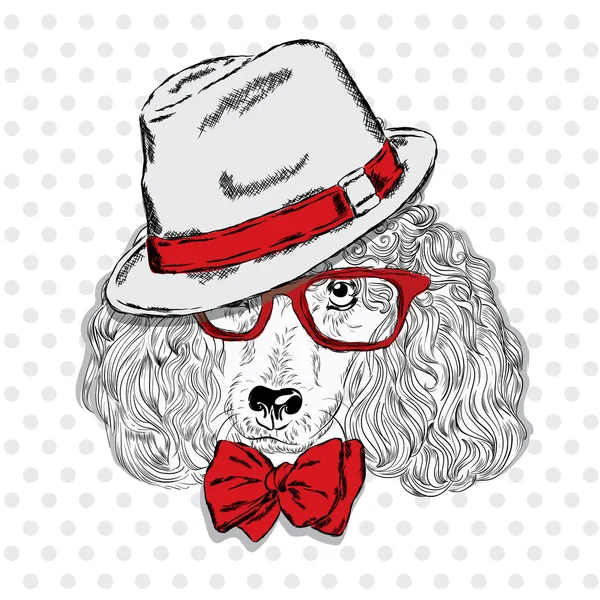 Cãozinho giro. Poodle usando um chapéu, óculos de sol e uma gravata. Imprimir. Hipster. . — Vetor de Stock
