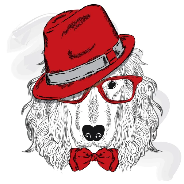 Soy köpeği. Sevimli köpek yavrusu. Spaniel bir şapka, güneş gözlüğü ve kravat giyiyor .