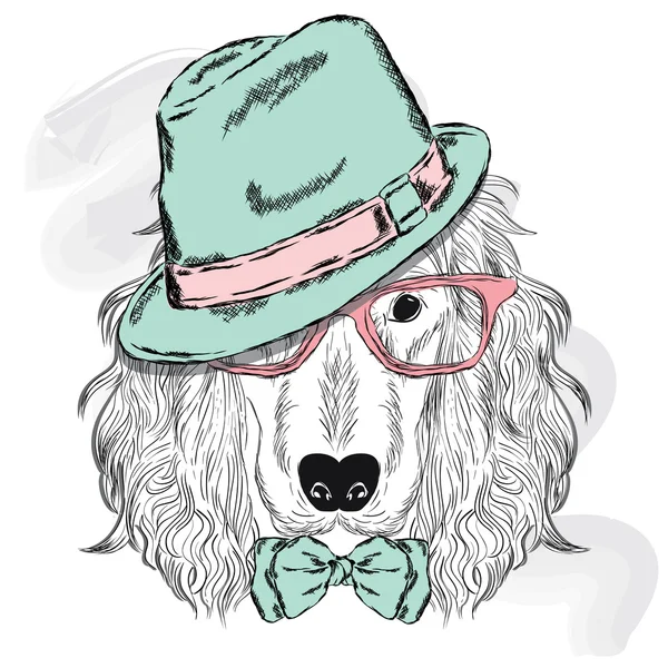 Soy köpeği. Sevimli köpek yavrusu. Spaniel bir şapka, güneş gözlüğü ve kravat giyiyor .