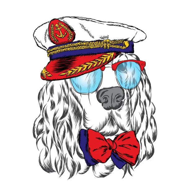 İspanyol Kaptan'ın Cap. Bir köpek vektör çizim.