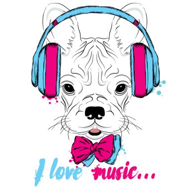 Fransız buldozer kulaklık takıyor. Vektör köpek yavrusu. Hipster.