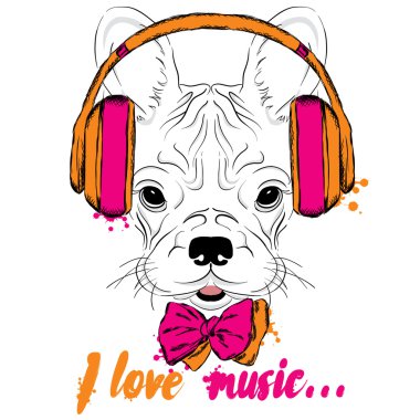 Fransız buldozer kulaklık takıyor. Vektör köpek yavrusu. Hipster.