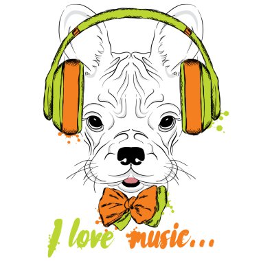Fransız buldozer kulaklık takıyor. Vektör köpek yavrusu. Hipster.