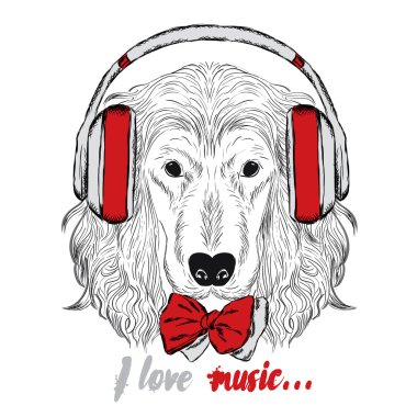 Serin İspanyol kulaklık. Köpek vektör. Hipster.