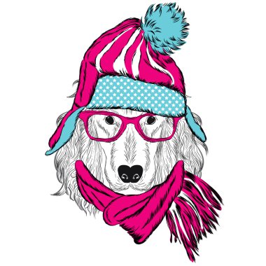 İspanyol bir şapka ve atkı takmış. Köpek Giyim.