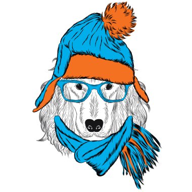 İspanyol bir şapka ve atkı takmış. Köpek Giyim.