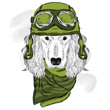 İspanyol bir kask ve kravat takıyor. Motorcu. Tebrik kartı ile bir köpek.