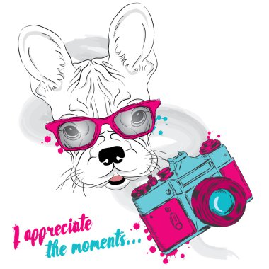 Fransız buldozer ile bir fotoğraf makinesi. Köpek vektör. Hipster.