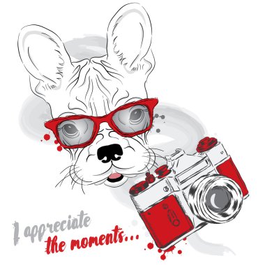 Fransız buldozer ile bir fotoğraf makinesi. Köpek vektör. Hipster.