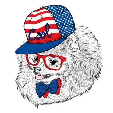 Sevimli köpek kap ve gözlük. Vektör çizim.