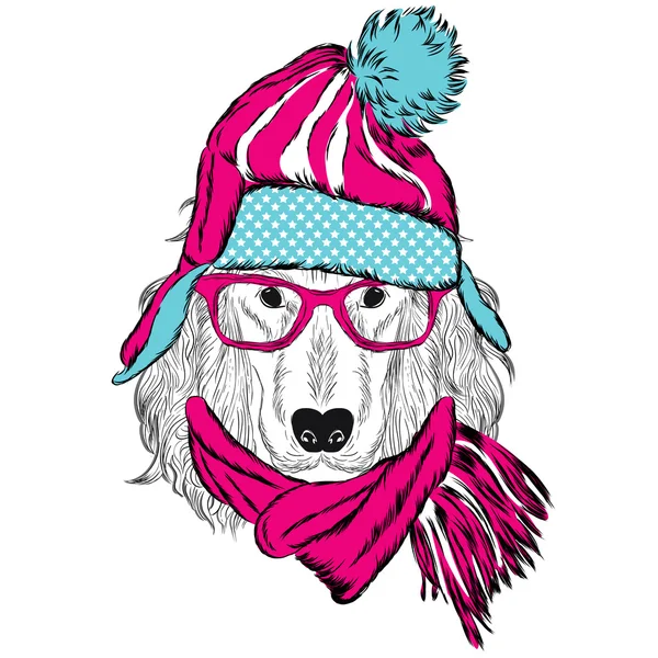 Σπάνιελ φορώντας ένα καπέλο και κασκόλ. Ρούχα σκύλου. — Διανυσματικό Αρχείο