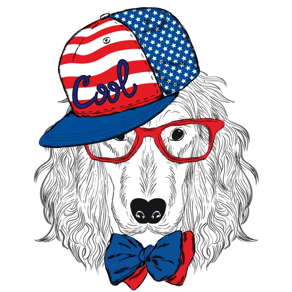 Spaniel con gorra y corbata. Perro miel. Hipster. Ilustración vectorial para tarjeta de felicitación, póster, impresión o en ropa . — Vector de stock