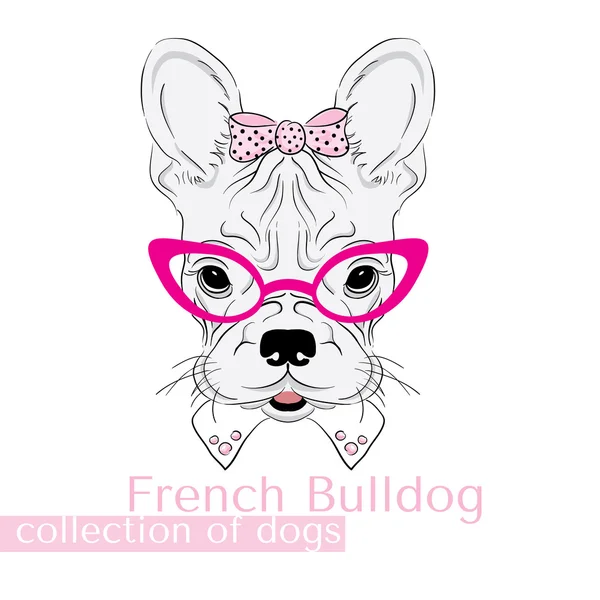 Коллекция чистокровных собак в векторе. Французский бульдог. Девушка в очках  . — стоковый вектор