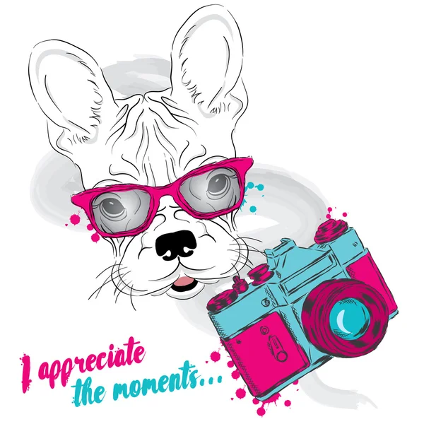 Bulldog francés con cámara. Vector perro. Hipster. . — Archivo Imágenes Vectoriales