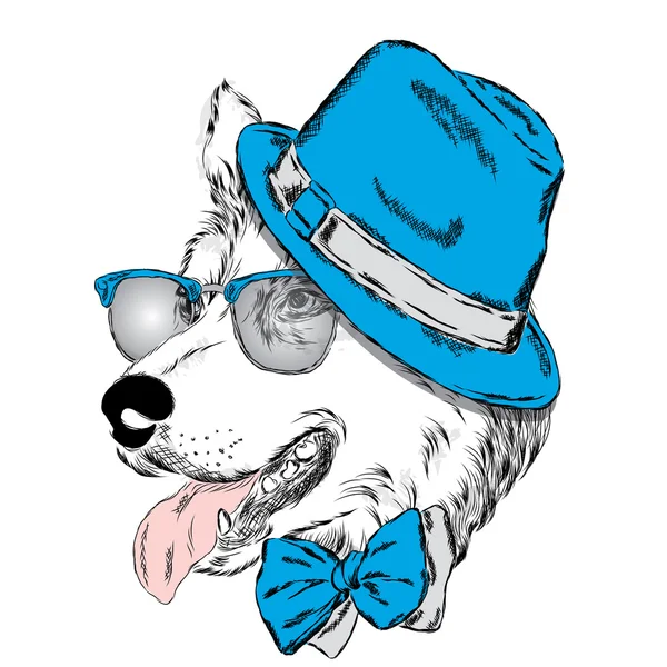 Husky bär en hatt, solglasögon och en slips. Vektor illustration för gratulationskort, affisch eller tryck på kläder. — Stock vektor
