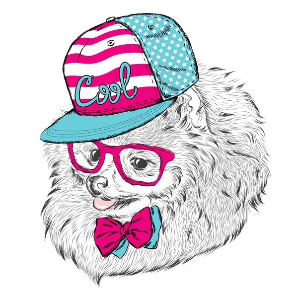 Roztomilý pejsek v čepici a brýle. Vektorové ilustrace. — Stockový vektor