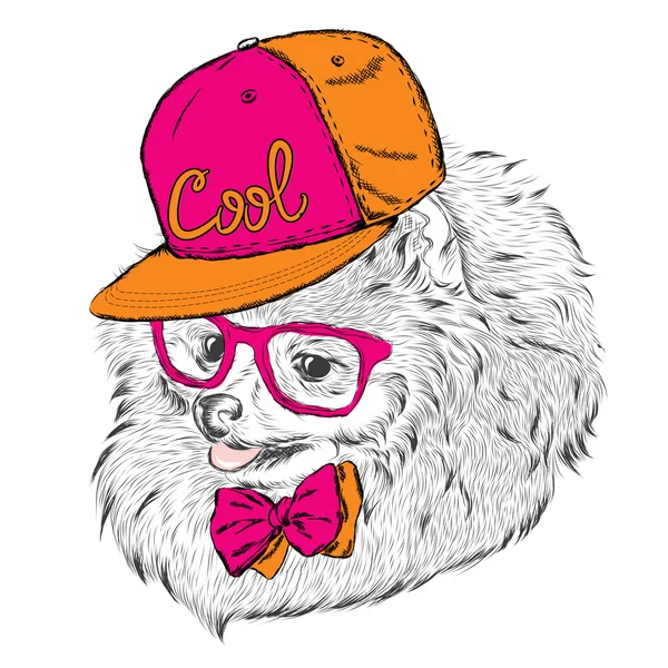 Lindo perro en gorra y gafas. Ilustración vectorial . — Vector de stock