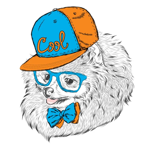 Roztomilý pejsek v čepici a brýle. Vektorové ilustrace. — Stockový vektor