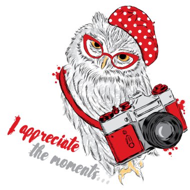 Kameralı sevimli baykuş. Hipster. Tebrik kartı, poster veya giysilere baskı için vektör çizimi.