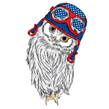 Kask takan sevimli baykuş. Kuş vektörü. Tebrik kartı, poster veya giysilere baskı için vektör çizimi.