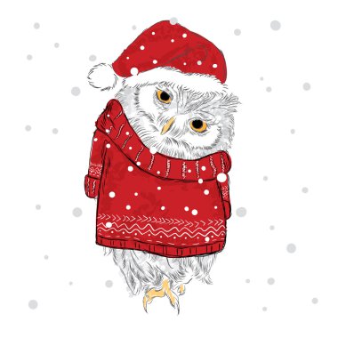 Şapkalı baykuş ve atkı elle çizildi. Kuş kıyafetleri. Tebrik kartı, poster veya giysilere baskı için vektör çizimi.