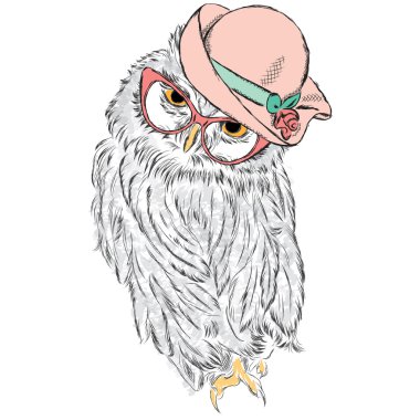 Bayan şapkalı baykuş ve güneş gözlüğü. Vektör çizimi.