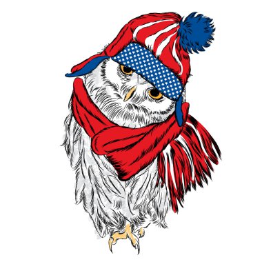 Şapka ve atkı takan sevimli baykuş. Kuş vektörü.