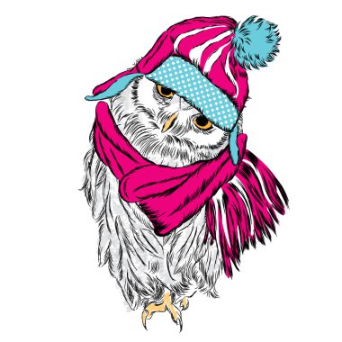 Şapka ve atkı takan sevimli baykuş. Kuş vektörü.