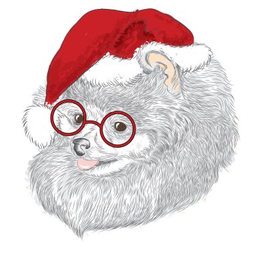 Soy köpekleri elle çizilir. Spitz. Noel şapkalı köpek yavrusu. Tebrik kartı, poster veya giysilere baskı için vektör çizimi.