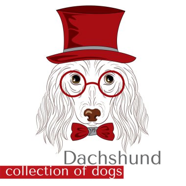 Vektörde safkan köpeklerin toplanması. Dachshund. Çocuk.