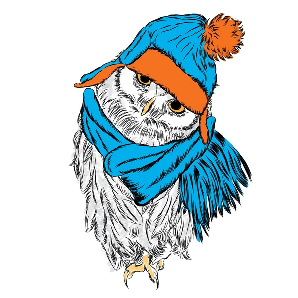 Cute owl wearing a hat and scarf. Bird vector. — Stock Vector