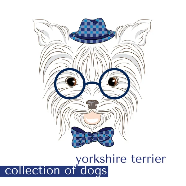 Raccolta di cani di razza pura nel vettore. Terrier dello Yorkshire. Ragazzo . — Vettoriale Stock