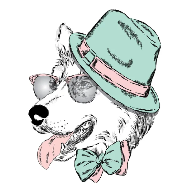 Husky con sombrero, gafas de sol y corbata. Ilustración vectorial para tarjeta de felicitación, póster o impresión en ropa . — Archivo Imágenes Vectoriales