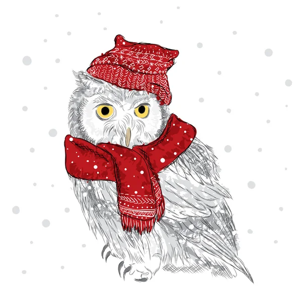 Owl in a cap and scarf were drawn by hand. Bird clothing . Vector illustration for greeting card, poster, or print on clothes. — Stock Vector