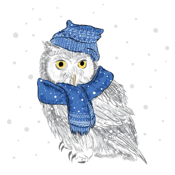 Owl in a cap and scarf were drawn by hand. Bird clothing . Vector illustration for greeting card, poster, or print on clothes. — Stock Vector