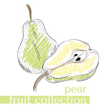 Meyve bir vektör topluluğu. Armut.