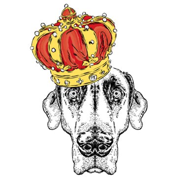 Taçtaki güzel köpek. Tebrik kartı, poster veya giysilere baskı için vektör çizimi.