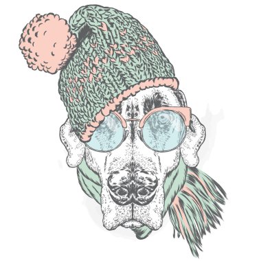 Şapkalı Komik Köpek, atkı ve gözlük. Vektör çizimi.