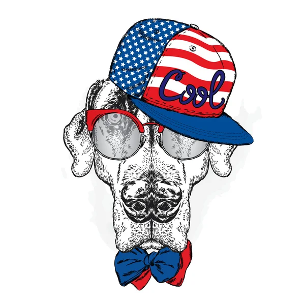 Mutató. Szép kutya és egy sapka, napszemüveg és a nyakkendő viselése. Vektoros illusztráció. — Stock Vector
