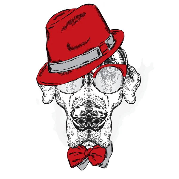 指针。戴帽子、太阳镜和领带的漂亮狗。矢量插图. — 图库矢量图片