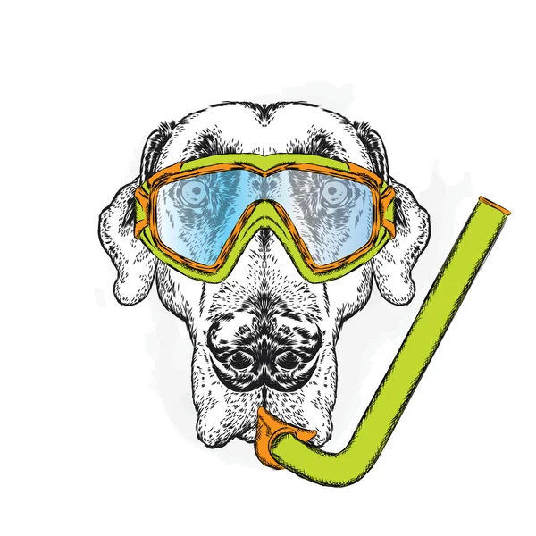 有趣的狗戴着面具的潜水。贺卡、 海报或衣服上的打印为矢量图. — 图库矢量图片