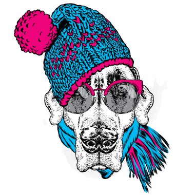 Şapkalı Komik Köpek, atkı ve gözlük. Vektör çizimi.