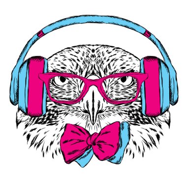 Kulaklıkve güneş gözlüğü takan bir kuş. Tebrik kartı, poster veya giysilere baskı için vektör çizimi.
