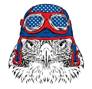 Kasklı kuş. Pilot ya da motorcu. Tebrik kartı, poster veya giysilere baskı için vektör çizimi.