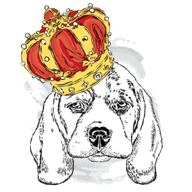 Bir taç giyen sevimli köpek. Vektör çizim