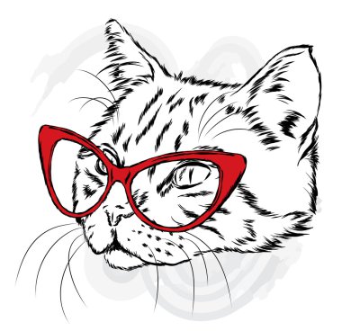 Kedi gözlüklü. Vektör çizim.