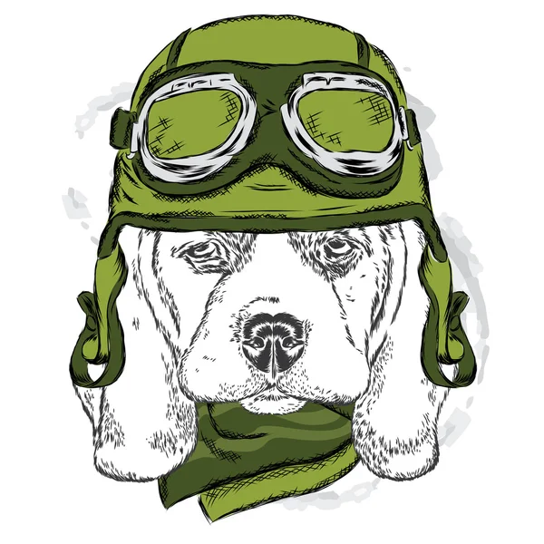 Lindo perro con casco. Motociclista. Ilustración vectorial . — Archivo Imágenes Vectoriales
